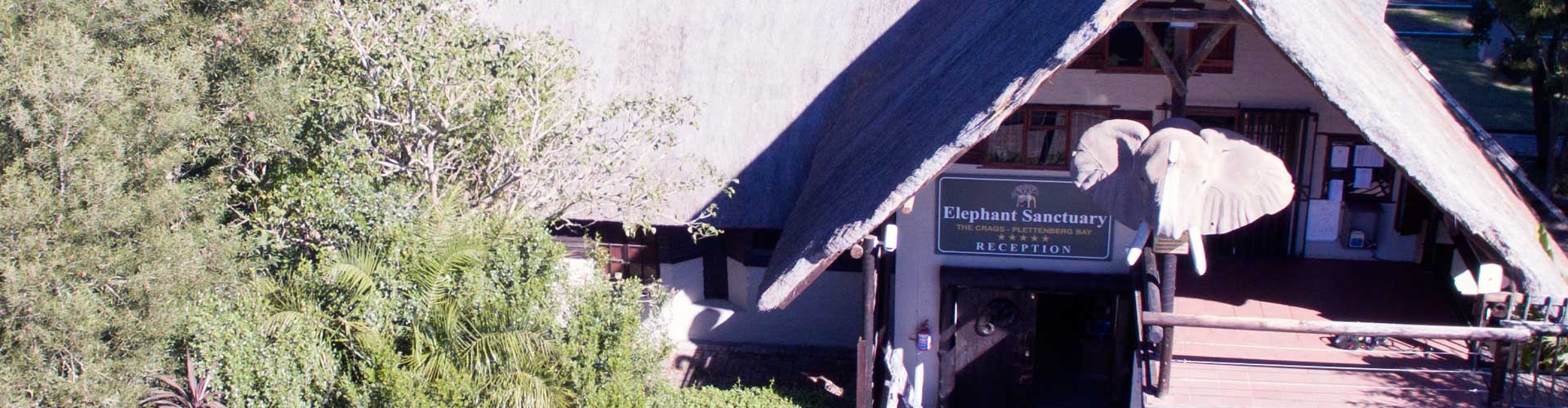 plettenberg contact elephant santuary